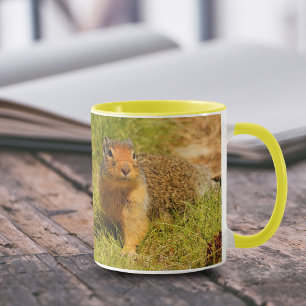 A Twitchy-Nposed Columbian Ground Squirrel Mugg