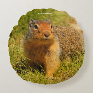 A Twitchy-Nposed Columbian Ground Squirrel Rund Kudde
