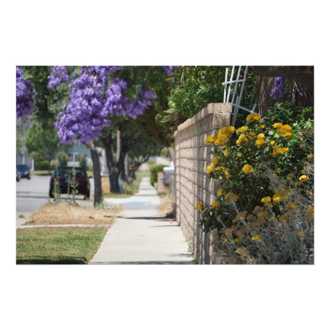 A VÄG FOTOTRYCK (Framsidan)