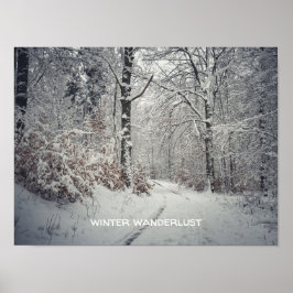 A väg genom den förändrade vinterskogen poster