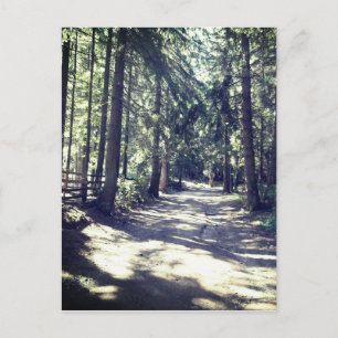 A Väg genom skogen Vykort