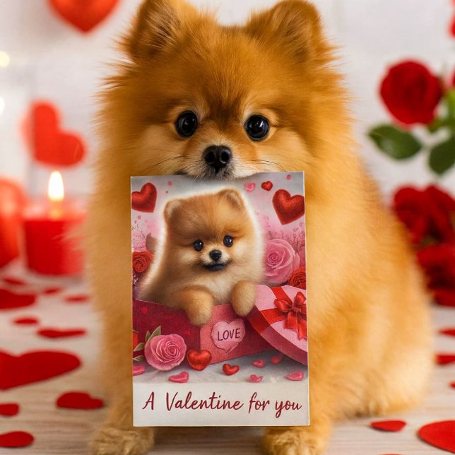 A Valentine for You Cute Pomeranian Dog  Helg Vykort (A charming Valentine's Day postcard designed for dog enthusiasts, featuring a delightful Pomeranian)
