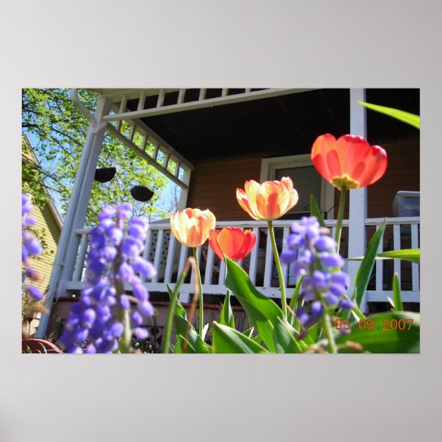 A Vår Garden Poster (Framsidan)