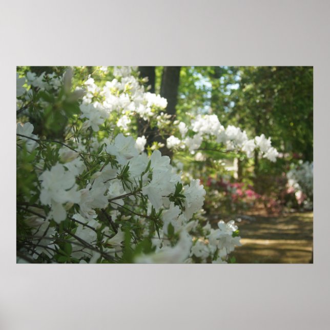 A Vår Walk Poster (Framsidan)