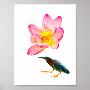 A vatten lotus och en öron poster