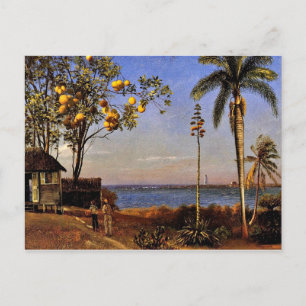 A View in Bahamas, Albert Bierstadt-målning Vykort