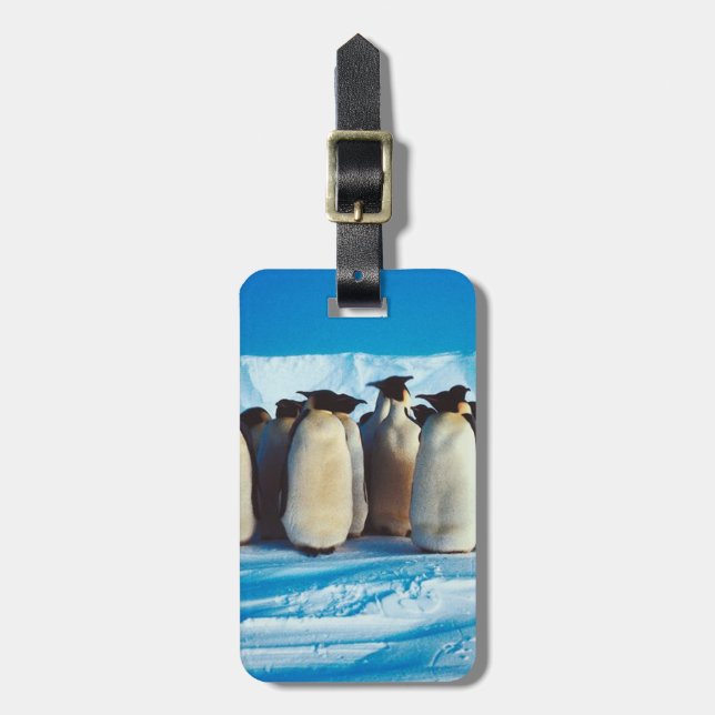 A Waddle of Penguins Bagagebricka (Vertikal Framsida)