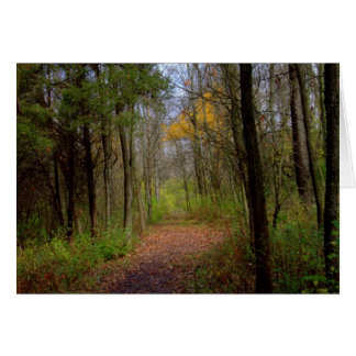 A Walk at Carriage Backe, reserv nr 31 Hälsningskort