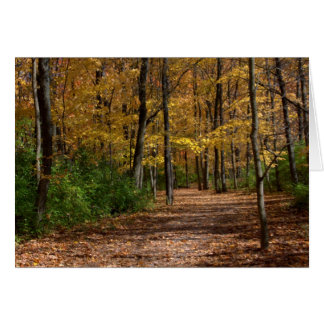 A Walk at Charleston Falls #6 Hälsningskort