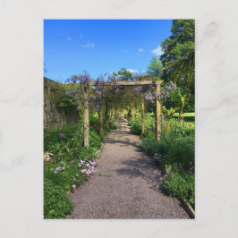 A Walk genom Wisteria Vykort