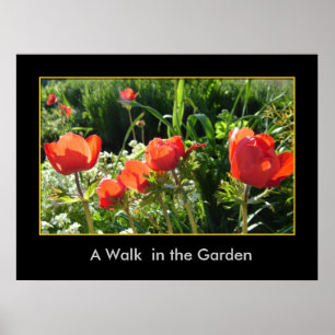 A Walk i Garden Poster