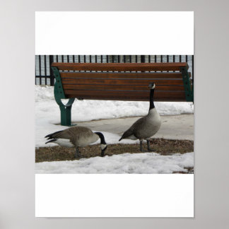 A Walk i parken Poster