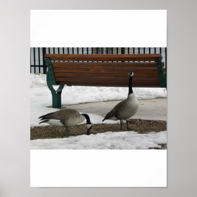 A Walk i parken Poster (Framsidan)