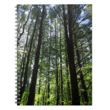 A Walk i Skogen Journal