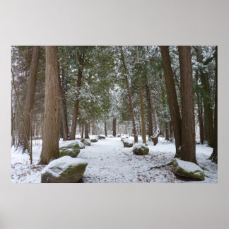 A Walk i Skogen Poster