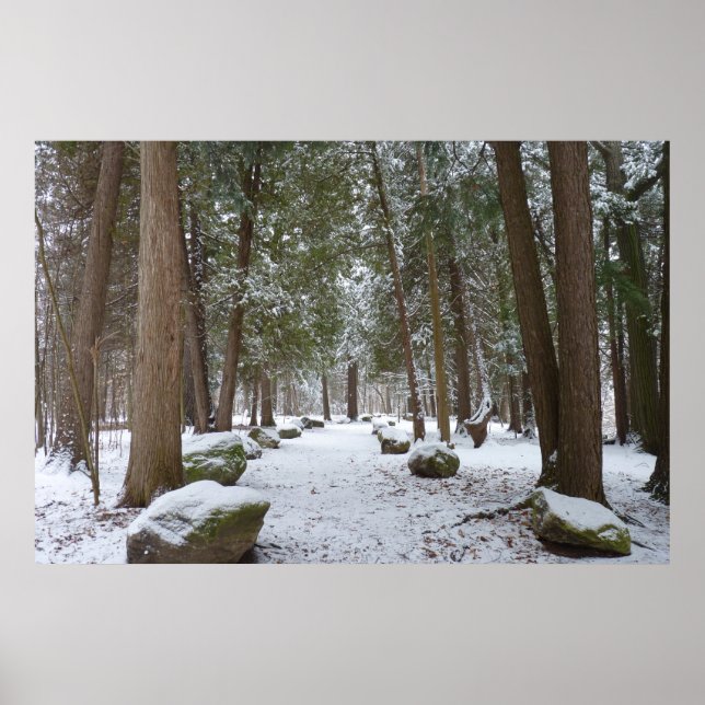 A Walk i Skogen Poster (Framsidan)