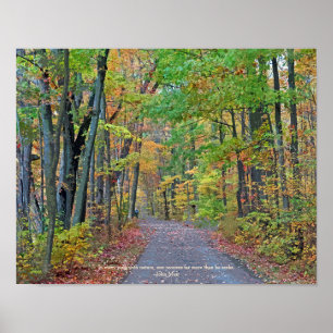 A Walk in Autumn Skogen Original Photograph Poster