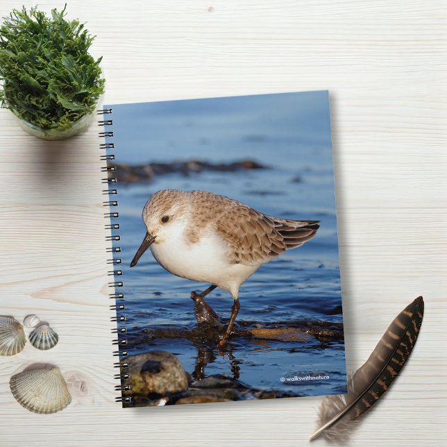 A Wandering Sanderling Anteckningsbok (Wandering Sanderling on the Beach Journal Cover Photo)