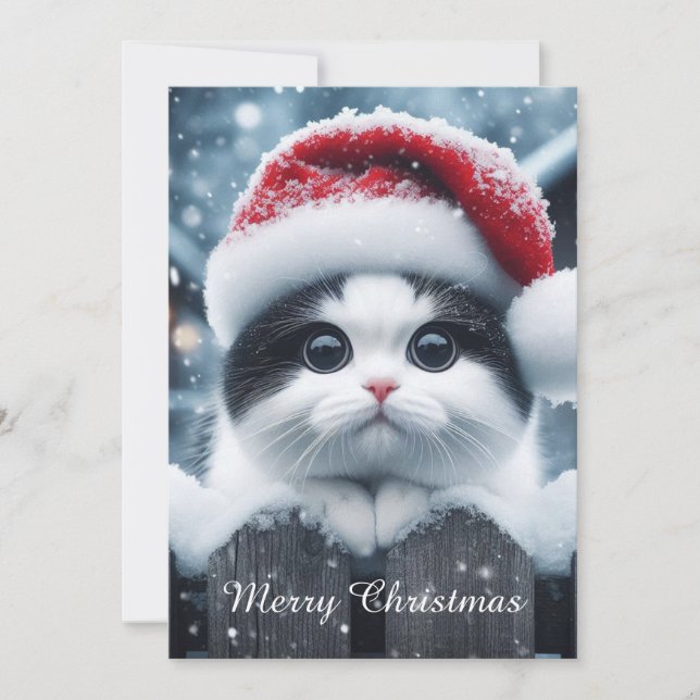 A white cat with Santa hat  Julkort (Framsida)