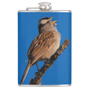 A White-Crowned Sparrow-Sjungorna till Sol Fickplunta