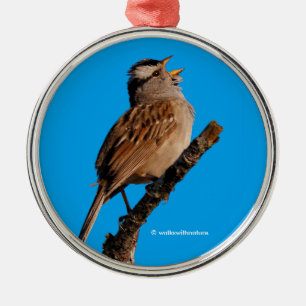 A White-Crowned Sparrow-Sjungorna till Sol Julgransprydnad Metall