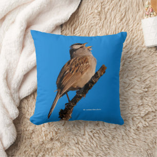 A White-Crowned Sparrow-Sjungorna till Sol Kudde