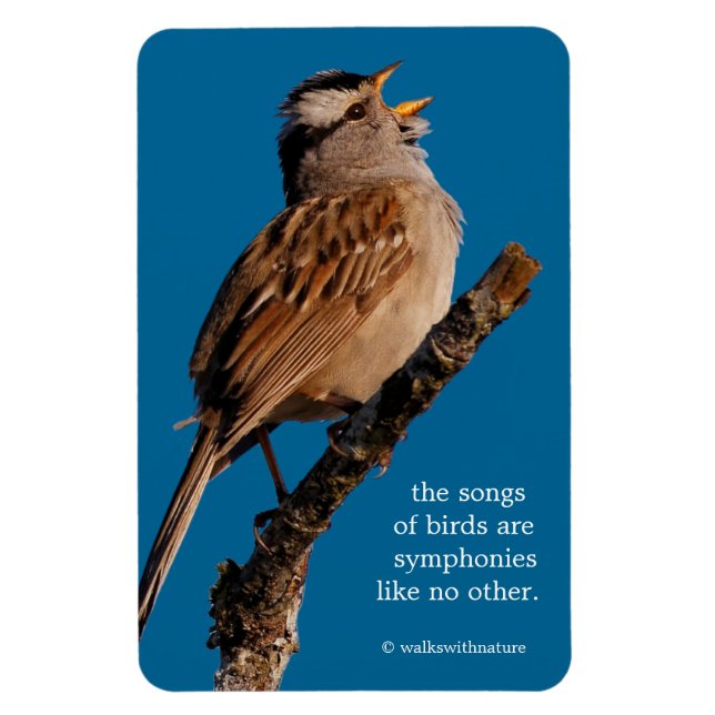 A White-Crowned Sparrow-Sjungorna till Sol Magnet (Vertikal)