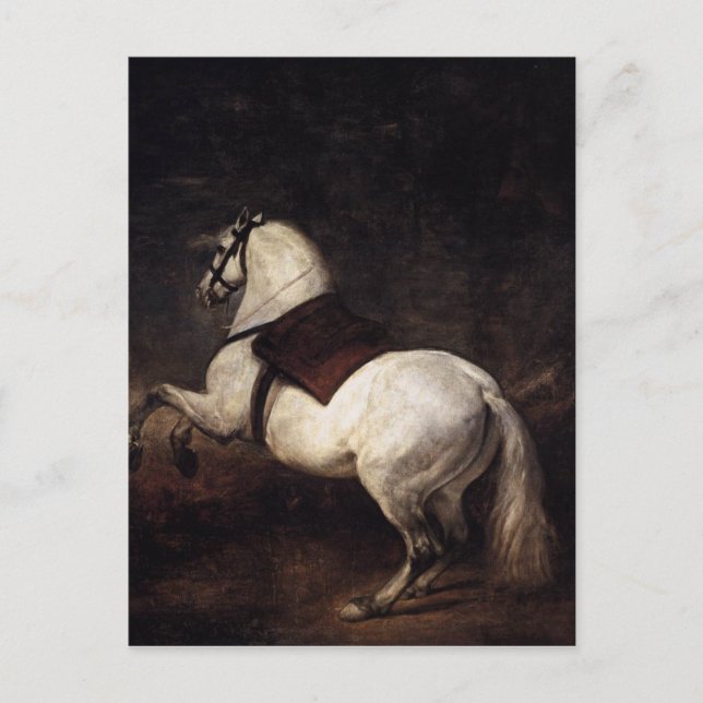 A White Horse av Diego Velazquez Vykort (Framsida)