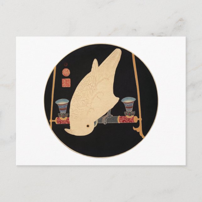 A White Macaw, Jakuchū Vykort (Framsida)