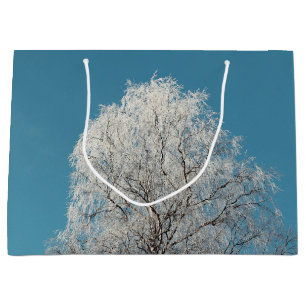 A White Willow Träd mot Clouless Blå himmel