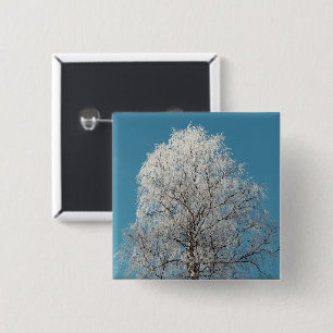 A White Willow Träd mot Clouless Blå himmel Knapp