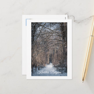 A Winters Day in Kluisbos Belgium Helg Vykort