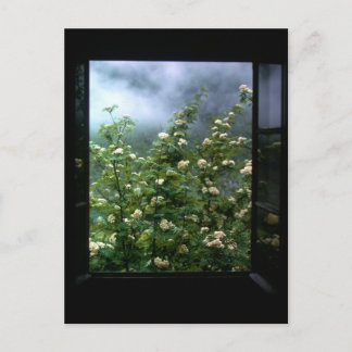 A WOMAN I KÄRLEK VYKORT