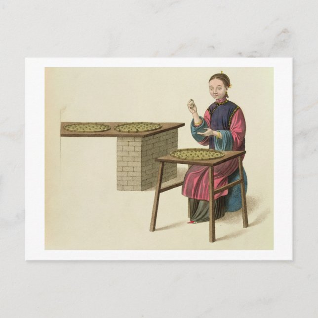 A Woman Preparing Tea, tallrik 21 från The Costume Vykort (Framsida)