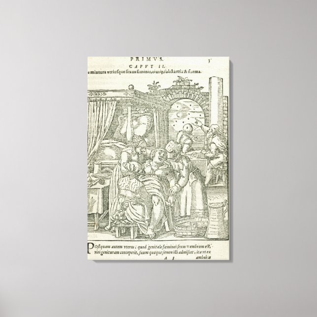 A Women in Labour, illustration från kapitel 2, Bo Canvastryck (Framsida)