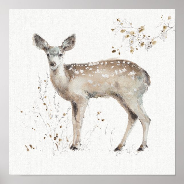 A Woodland Walk IX Poster (Framsidan)