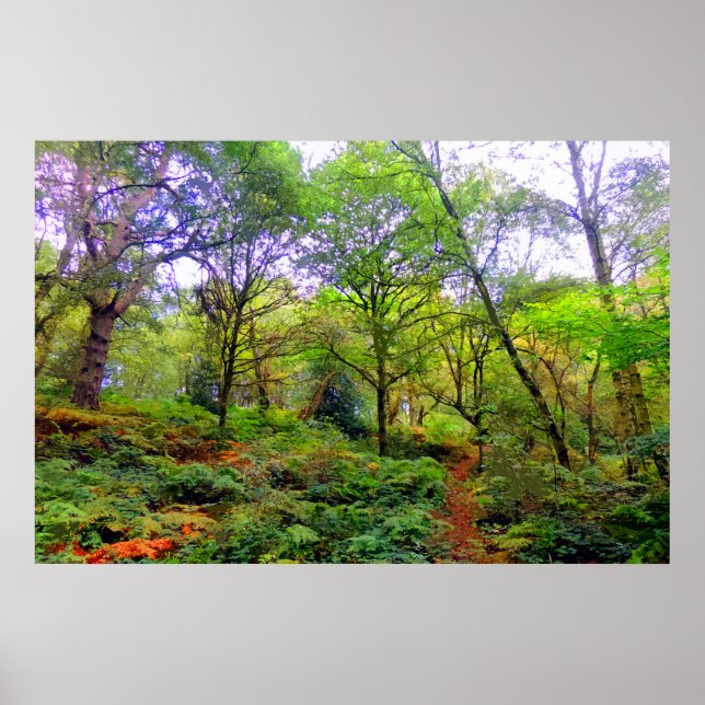 A WOODLAND WALK POSTER (Framsidan)