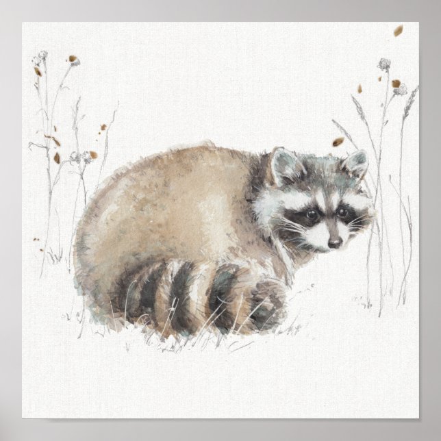 A Woodland Walk X Poster (Framsidan)