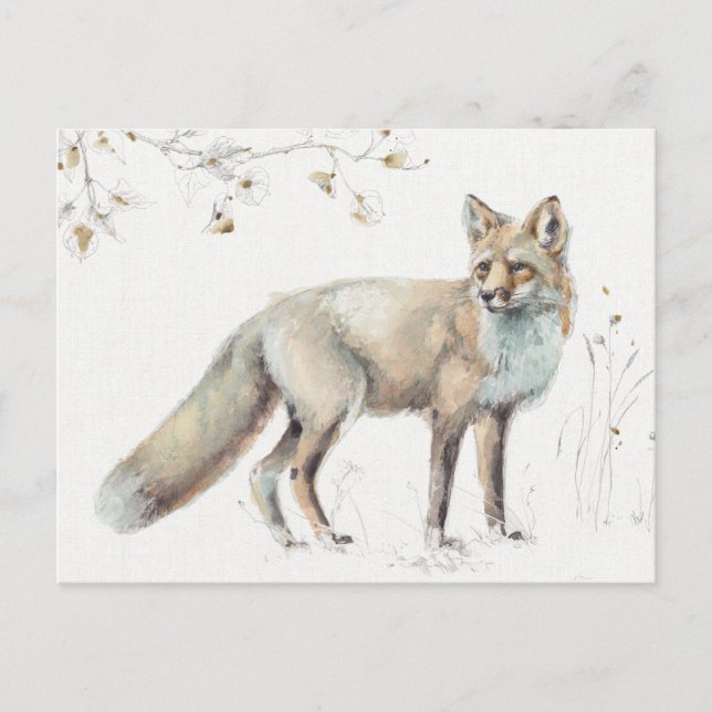 A Woodland Walk XI Vykort (Framsida)