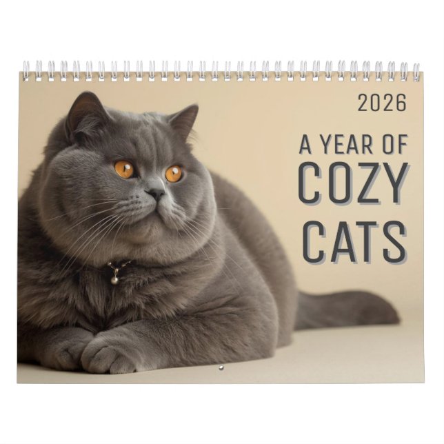 A Year of Cozy Cats Calendar Kalender (Omslag)