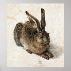 A Young Hare - Albrecht Durer - c1502 Poster