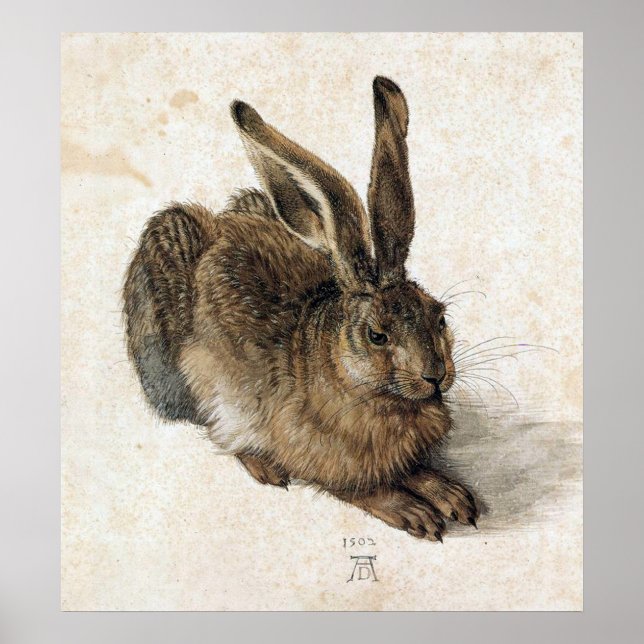A Young Hare - Albrecht Durer - c1502 Poster (Framsidan)
