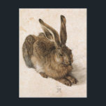 A Young Hare av Albrecht Durer Vykort<br><div class="desc">"Norra Renaissancen" vackra bilder från legendariska konstnärer</div>