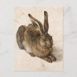A Young Hare av Albrecht Durer Vykort