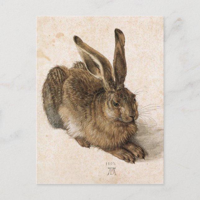 A Young Hare av Albrecht Durer Vykort (Framsida)