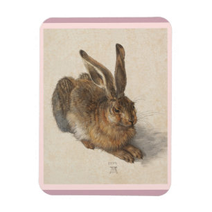 A Young Hare Magnet