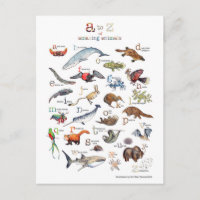 A-Z av fantastiska djur