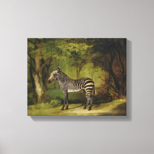 A Zebra, 1763 (olja på kanvas) Canvastryck