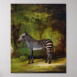 A Zebra av George Stubbs Poster