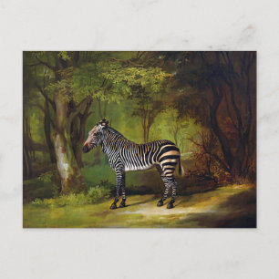 A Zebra av George Stubbs Vykort